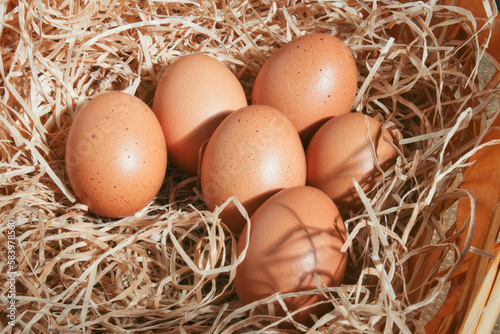 Half a dozen freshly laid organic eggs on straw background in a basket