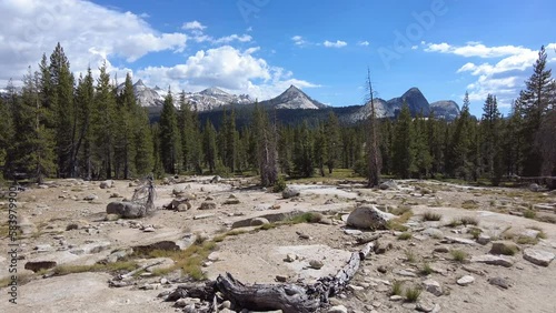 Panning Across Tuolumne Meadows in Yosemite National Park