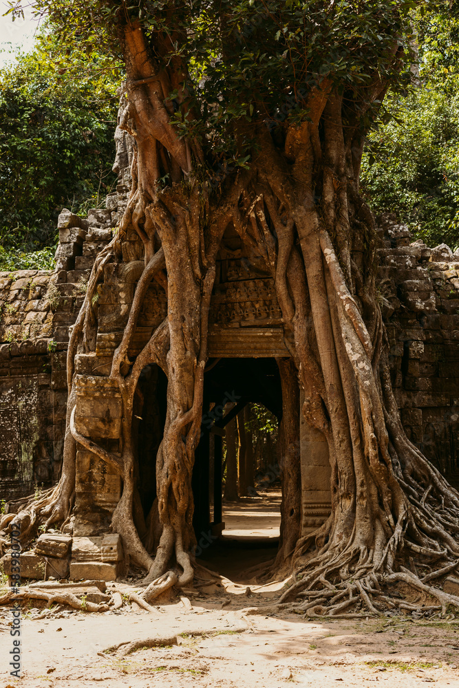Naklejka premium Angkor Wat in Cambodia