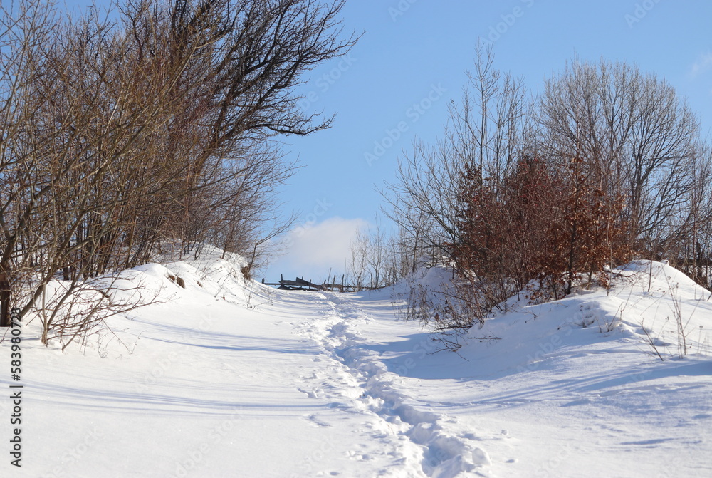 Snowy sunny field-trip