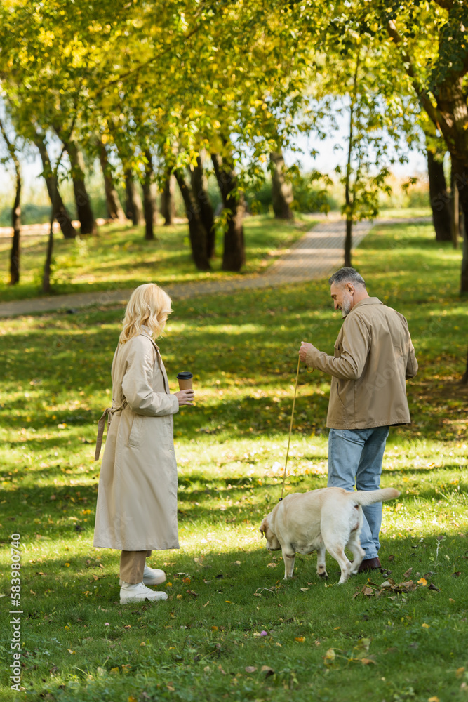 blonde middle aged woman holding coffee to go and walking out with happy husband and labrador in park. blonde middle aged woman holding coffee to go and walking out with happy husband and labrador in park.