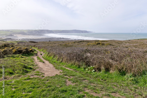 Schilderij op canvas Widemouth Bay, Cornwall, England