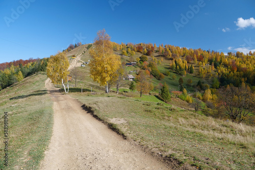 Beautiful autumn forest in Carpathian mountains photo