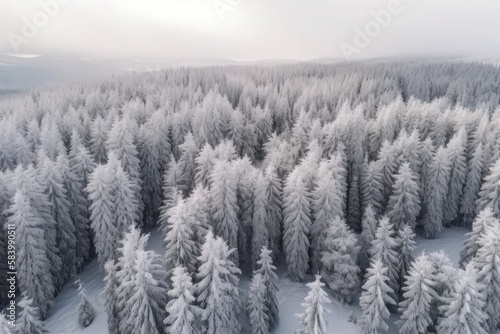 snow-covered forest from a new perspective with this birds-eye view, which reveals the intricate patterns of the trees and the delicate balance of the ecosystem. Generative AI.