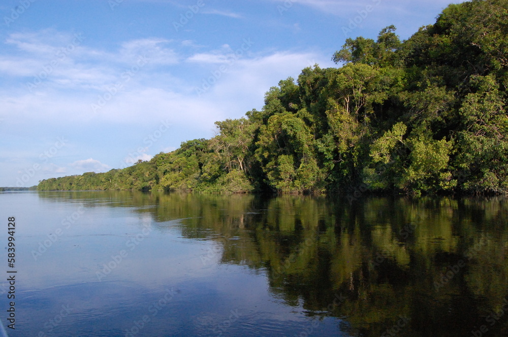 lake and forest