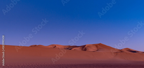 Evening in the Desert 