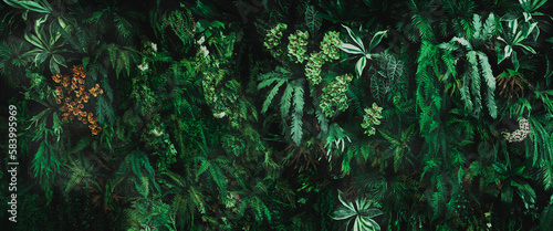 Fototapeta Naklejka Na Ścianę i Meble -  Herb wall, plant wall, natural green wallpaper and background. nature wall. Nature background of green forest