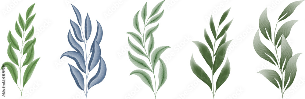 watercolor leaves collection watercolor leaves collection