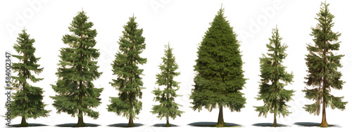 A set of fir trees isolated on white transparent background png. Generative AI