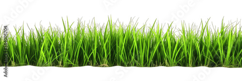 Green grass row isolated on white transparent background png. Generative AI