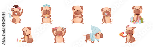Cartoon Pug Dog Character Doing Spa and Hygiene Procedures Vector Set