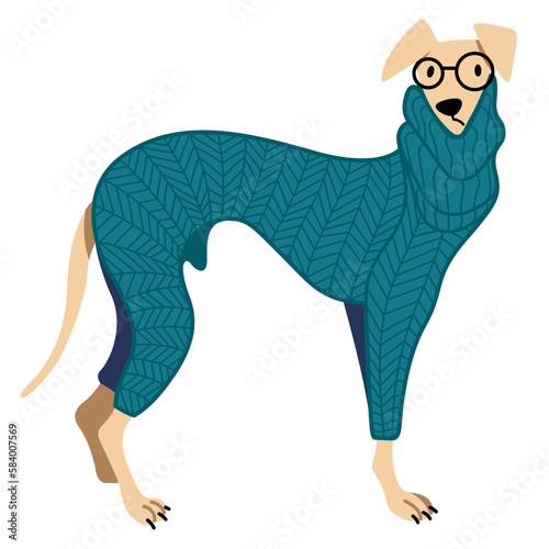 vector cartoon illustration of funny cute dog in knitted blue sweater and glasses isolated on white background. useful for pet shops, dog clothes, dog products, dog courses, dog food, kennel clubs.