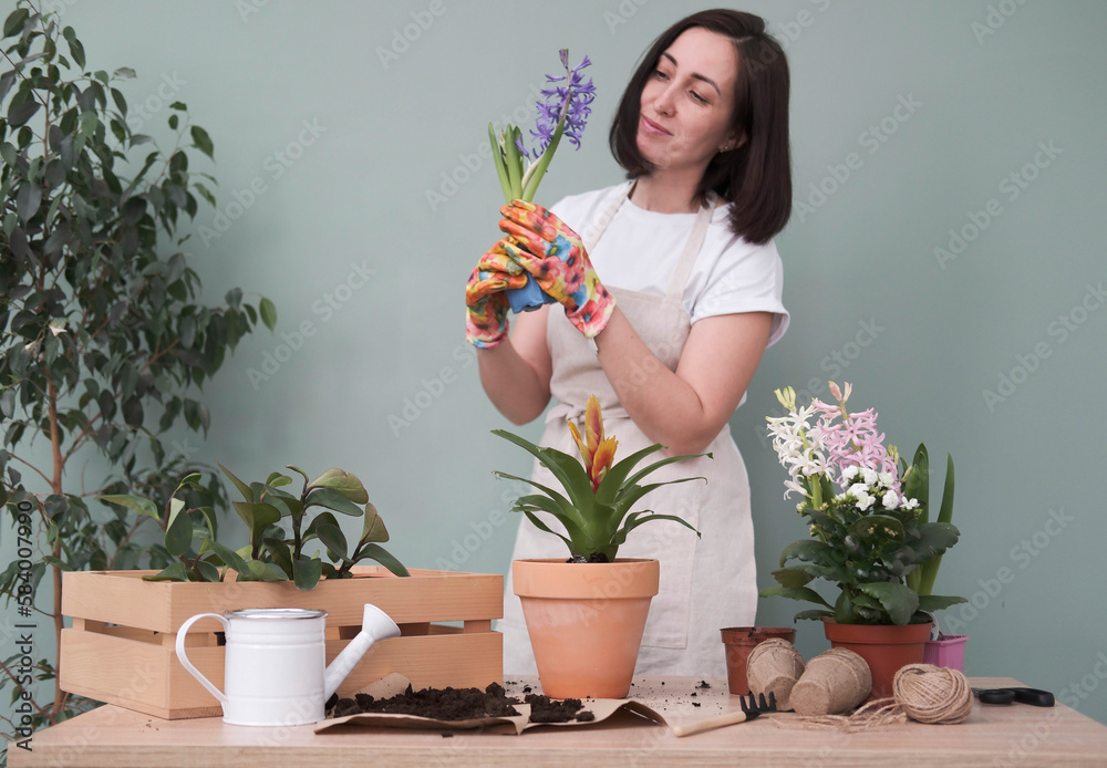 Spring gardening with blooming colorful hyacinths and diffrent flowers in pots for planting on wooden table and woman is holding flower on green background. Spring gardening with blooming colorful hyacinths and diffrent flowers in pots for planting on wooden table and woman is holding flower on green background.