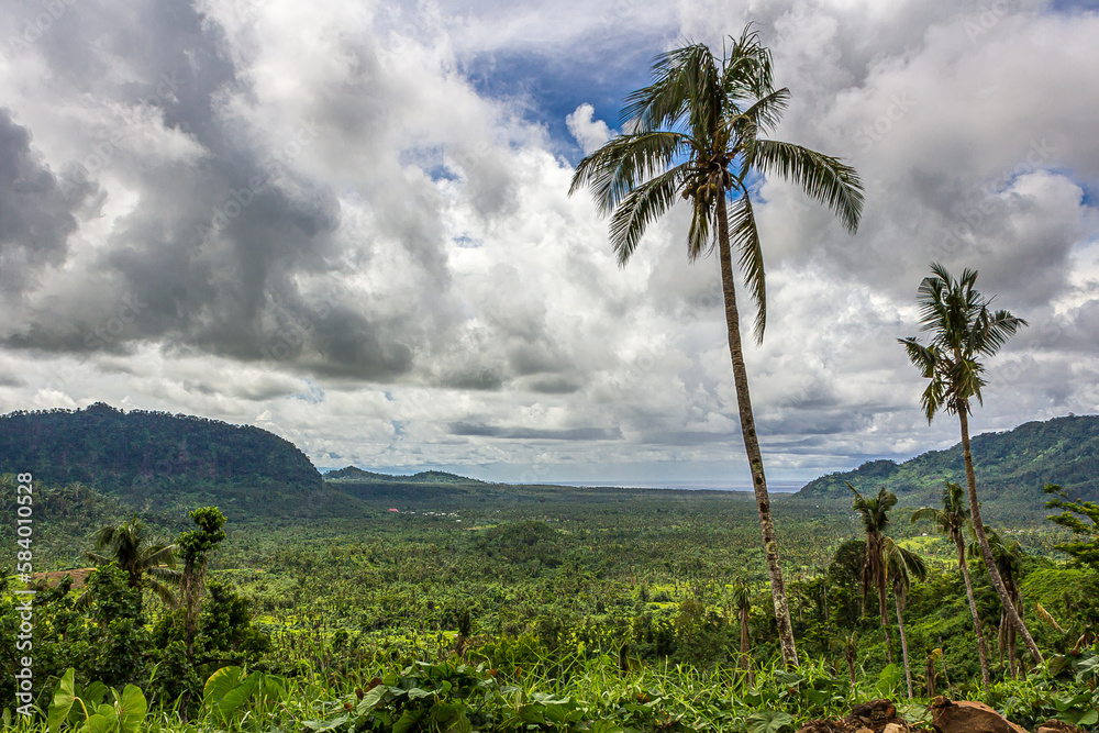 Obraz premium Gray and white cumulus clouds over forested hills at Samoa Upolu island, Atua province, Pacific Ocean. Tall coconut tree of green tropical forest.