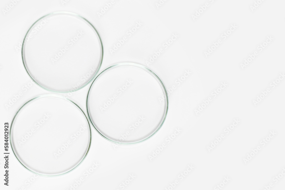 a set of laboratory glassware on a light background. Petri dishes in various forms. a set of laboratory glassware on a light background. Petri dishes in various forms.