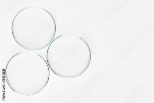 a set of laboratory glassware on a light background. Petri dishes in various forms.
