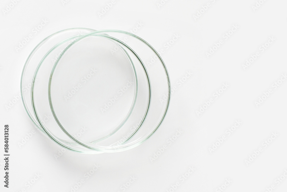 Three empty Petri dishes on a light background.