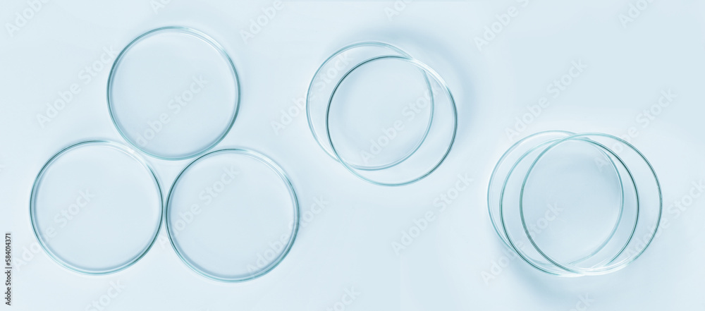 Set of Petri dishes made of blue glass. On a blue background.