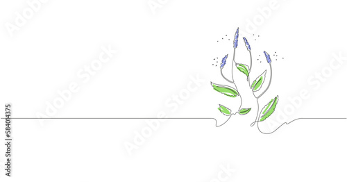 Chia plant illustration with flowers and seeds. Vector simple one line art of chia.