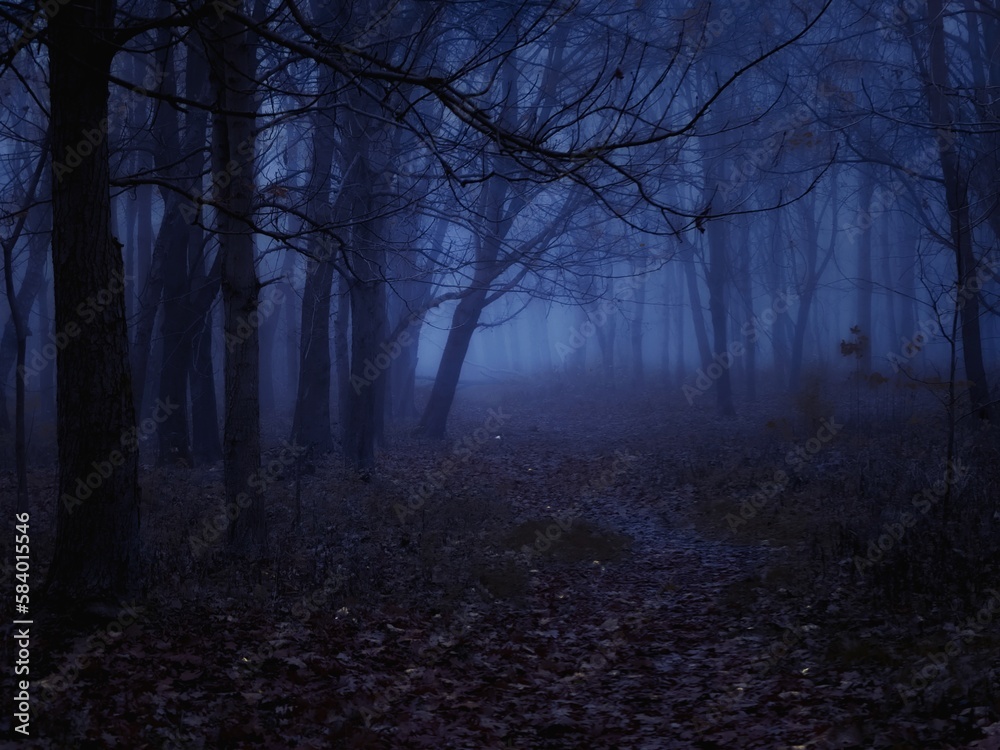 Fototapeta premium Scary forest at dusk. Fog in the dark woods. Silhouettes of leafless trees.