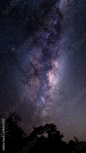 Fototapeta Naklejka Na Ścianę i Meble -  night sky with stars