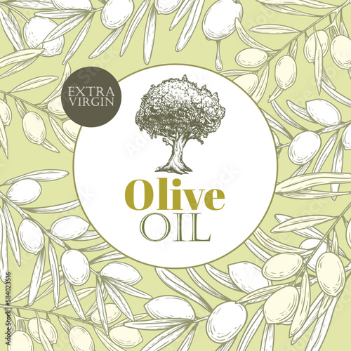 Olive oil banner design template. Sketch style olive branches and extra virgin vector label with olive tree on light background. Vector illustration.