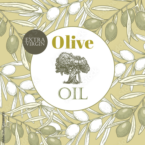 Olive oil banner design template. Sketch style olive branches and extra virgin vector label with olive tree on light background. Vector illustration.