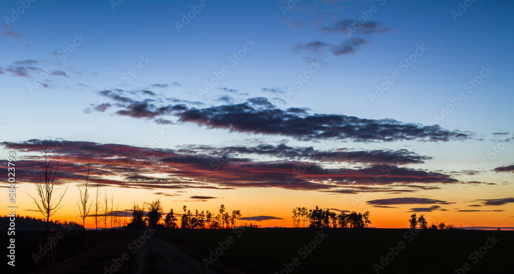 Sunset with silhouettes of trees.