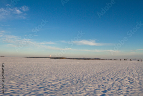 Winter landscape.