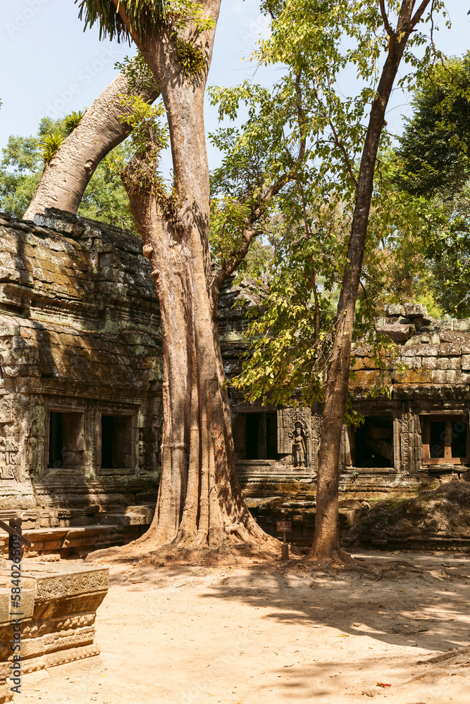 Naklejka premium Angkor Wat temples in Siem Reap, Cambodia