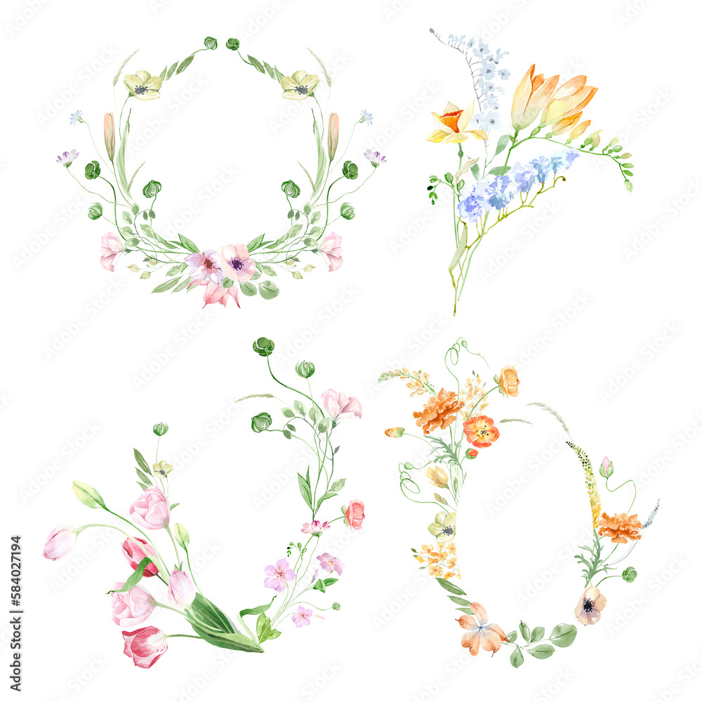 Tiny, delicate wild spring flowers. Field, meadow spring flowers. Summer field flowers. Wild poppies, garden tulips. Watercolor spring bouquets, frames and wreaths on a white background. Holiday 