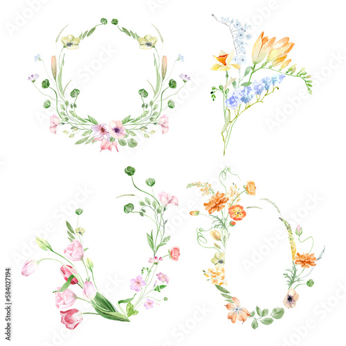 Tiny  delicate wild spring flowers. Field  meadow spring flowers. Summer field flowers. Wild poppies  garden tulips. Watercolor spring bouquets  frames and wreaths on a white background. Holiday 