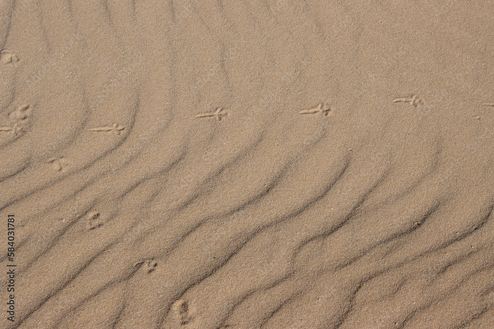 Wavy texture of a sand, Fuerteventura Wavy texture of a sand, Fuerteventura