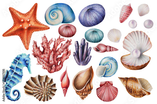 Watercolor set with corals, sea urchins, horses and shells. Hand painting clipart underwater life objects on a white isolated background. For designers, decoration, postcards, wrapping paper