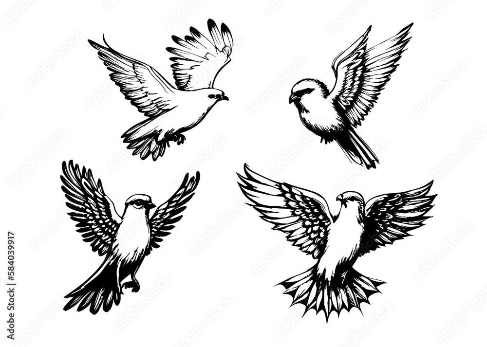 Holy Spirit Dove Drawings, Holy Spirit Illustrations, Holy Spirit Birds, Holy Spirit Transparent Vectors Holy Spirit Dove Drawings, Holy Spirit Illustrations, Holy Spirit Birds, Holy Spirit Transparent Vectors
