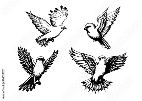 Holy Spirit Dove Drawings  Holy Spirit Illustrations  Holy Spirit Birds  Holy Spirit Transparent Vectors