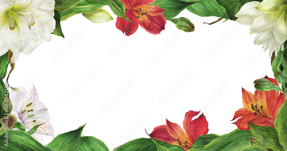 Fototapeta premium Red and white lilies floral header border. Romantic composition for weddings and Valentines Day. Watercolor illustration, frame for congratulations and invitations