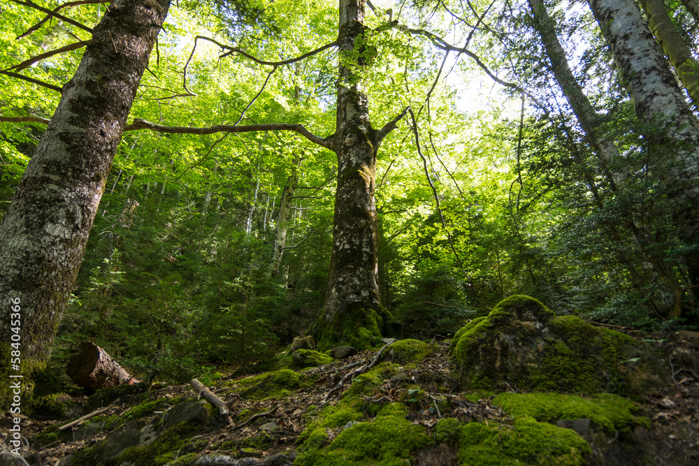 Natural Park of Ordesa and Monte Perdido,