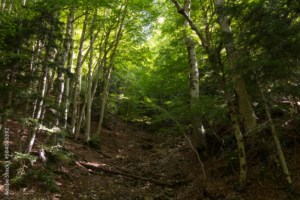 Natural Park of Ordesa and Monte Perdido,