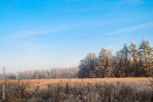 Late autumn landscape at sunny morning with frost on trees