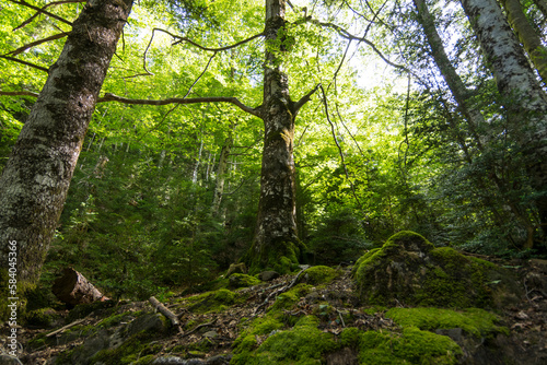 Obraz na płótnie Natural Park of Ordesa and Monte Perdido,