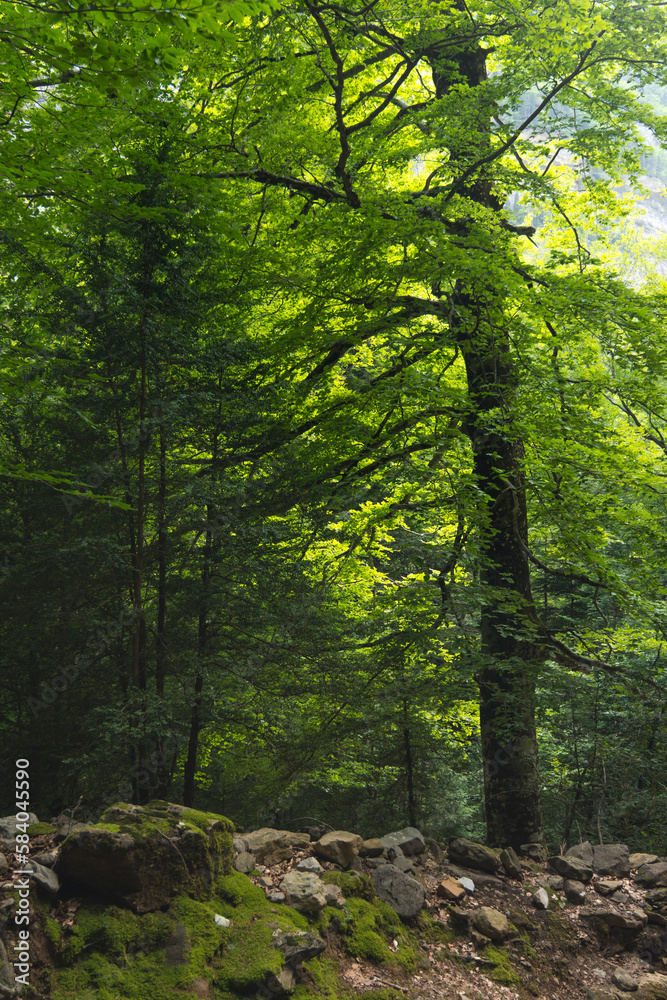Natural Park of Ordesa and Monte Perdido,