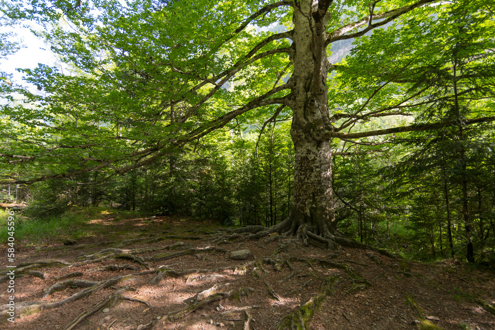 Natural Park of Ordesa and Monte Perdido,