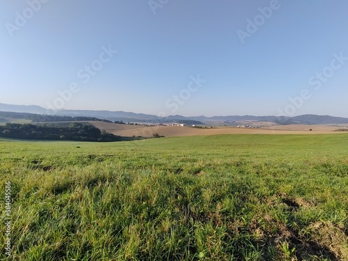 Green fresh grass on the meadow or garden and in the nature. Slovakia