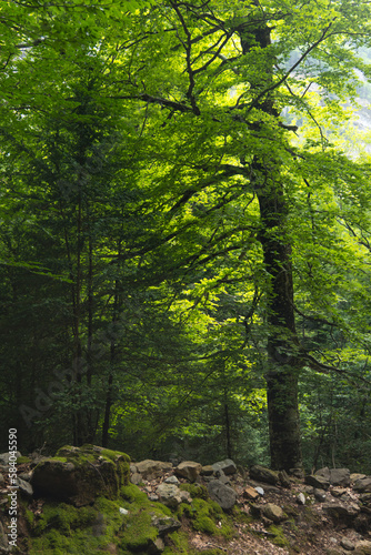 Obraz na płótnie Natural Park of Ordesa and Monte Perdido,