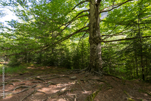 Obraz na płótnie Natural Park of Ordesa and Monte Perdido,