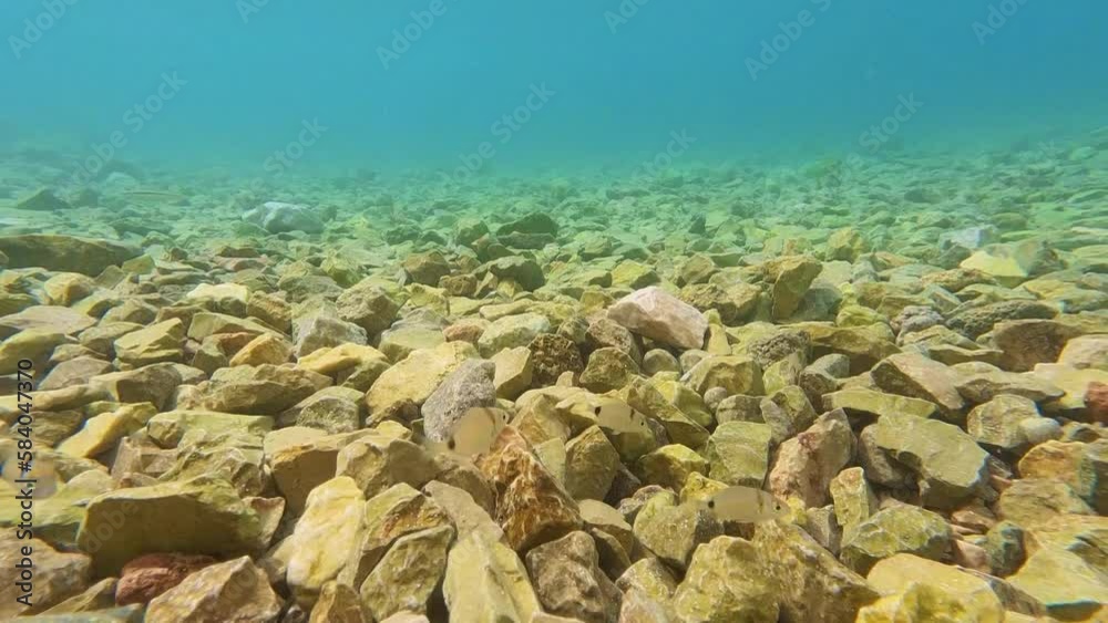 Klares Wasser in Split, Kroatien Klares Wasser in Split, Kroatien