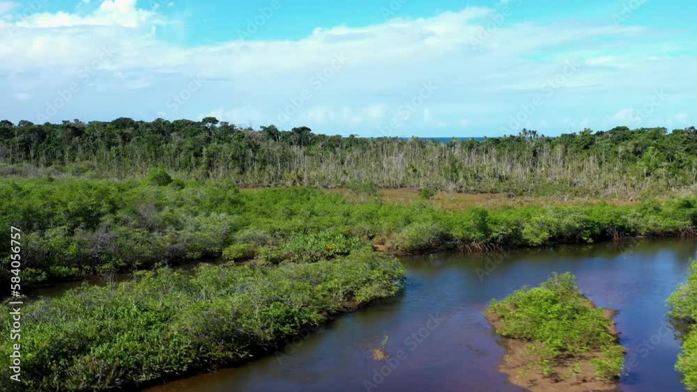 drone coming from the river and the beach going to foliage drone coming from the river and the beach going to foliage