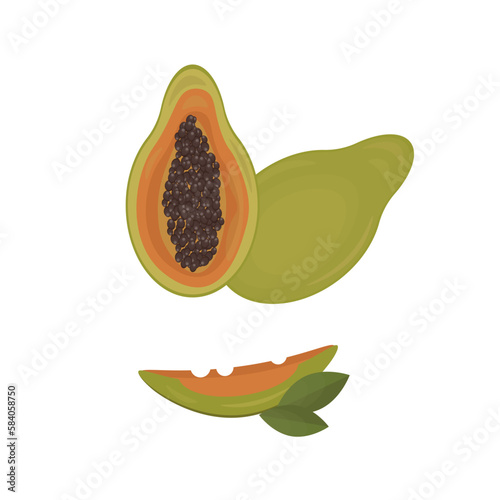 papaya fruit isolated on white background.plant vector illustration