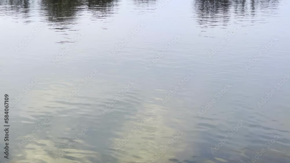 The River Water in Frankfurt Germany The River Water in Frankfurt Germany